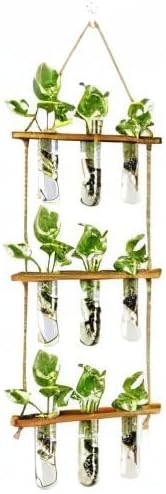 XXXFLOWER Wall Hanging Propagation Station