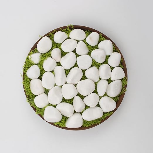 40 lbs White Polished Landscape Stones, 0.5-1 Inch Decorative Rocks for Gardens, Pathways, Pots, Vase Fillers, Aquarium Decoration, Glass Containers, and Yard Borde (Pure White, Weight: 40 LB)