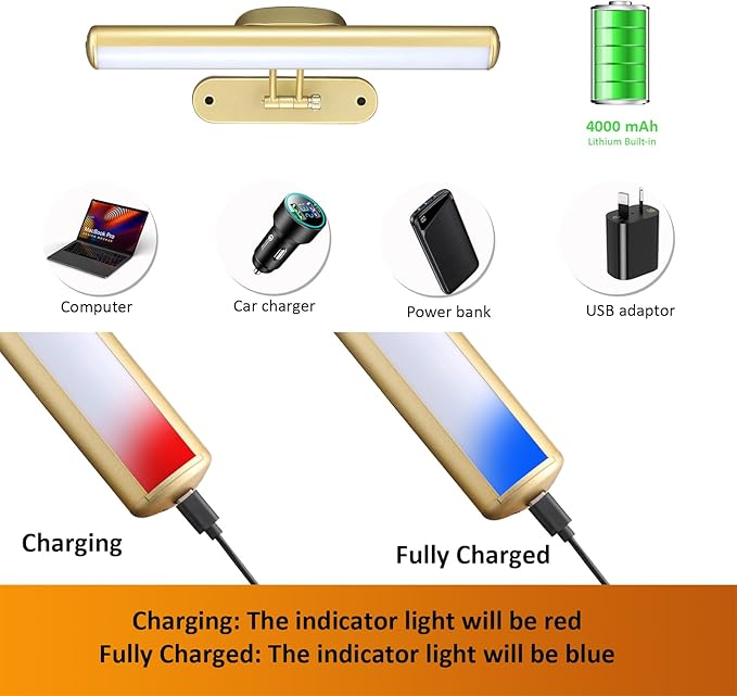 MIOBLUE Rechargeable Picture Light