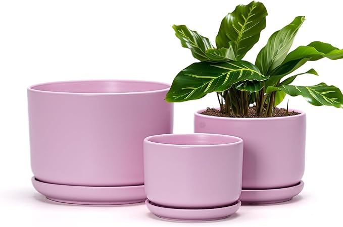 Ton Sin Plant Pots, 4.1+5.1+6.5 inch, Set of 3, Ceramic Planters with Drainage Hole and Saucer, Indoor Flower Pot with Hole Mesh Pad, Gifts for Mom(Matte Pink)