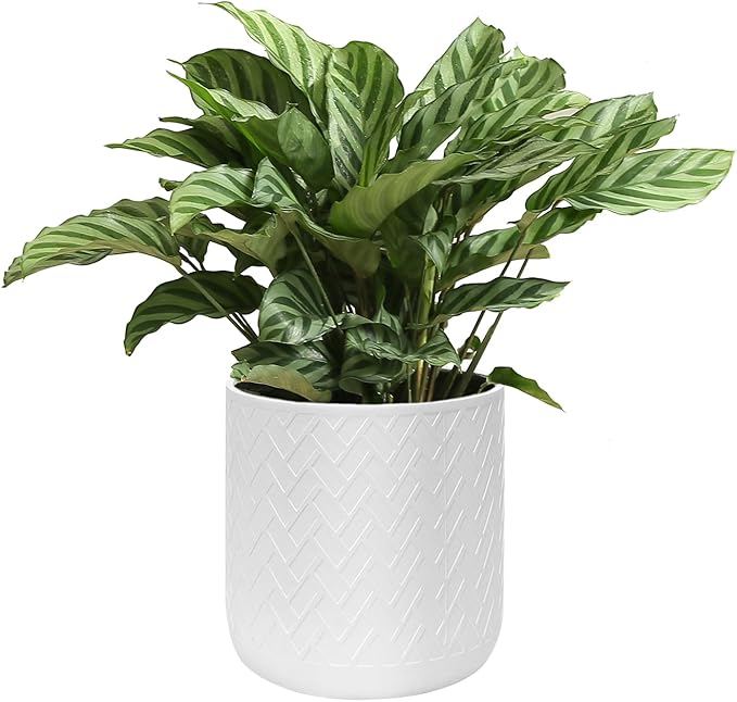 12 Inch Flower Pot Without Bracket with Drainage Holes Suitable for Indoor and Outdoor Decorative Planting (White Rectangle, 12 Inches)