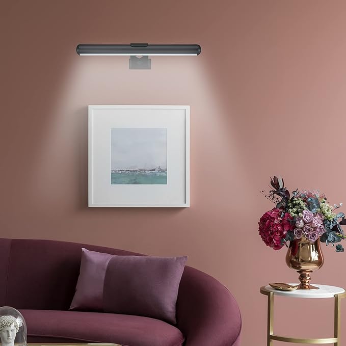 MIOBLUE Rechargeable Picture Lights