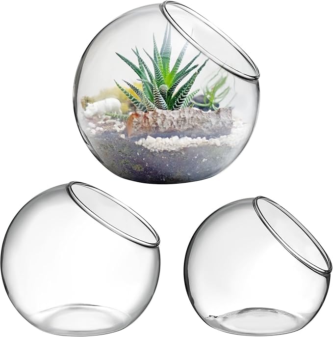 Mipcase 3 Pcs Plant Terrarium Plant Holder Terrarium Air Plant, 3 Round Glass Vase for Succulents, Clear Bubble Planter for Home Decor, Oblique Opening Glass Bowls Succulent Orbs Mini Tank