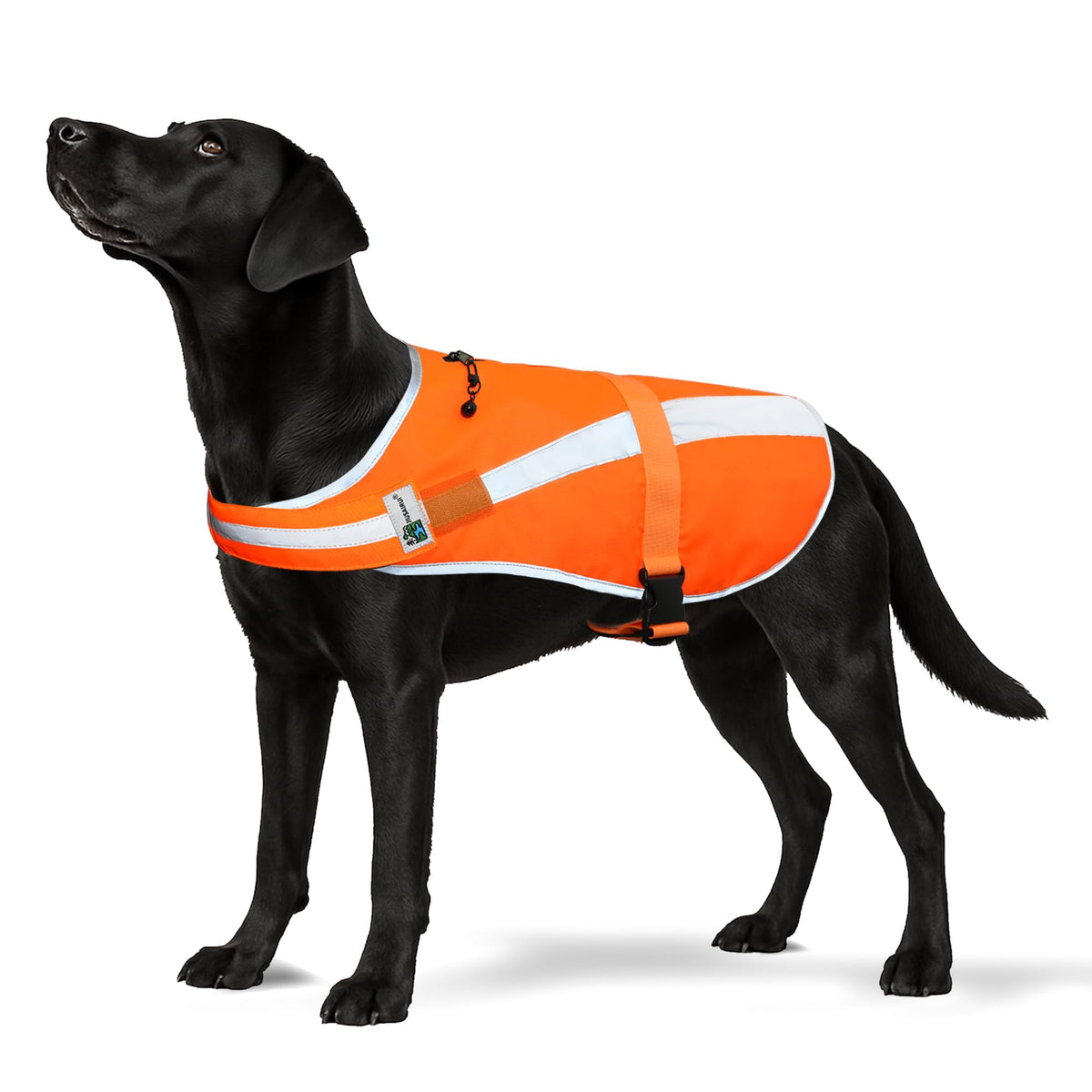 Reflective Dog Hunting Vest â Blaze Orange Safety Vest with Removable Bell, Waterproof and Lightweight (M)