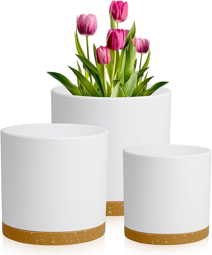 10/8/6 inch Deep Plant Pots, 3 Pack Cylindrical Large Flower Pots for Outdoor Indoor Plants, Tall Plastic Planters with Drainage Holes and Saucers for Garden House Plants, White with Brown