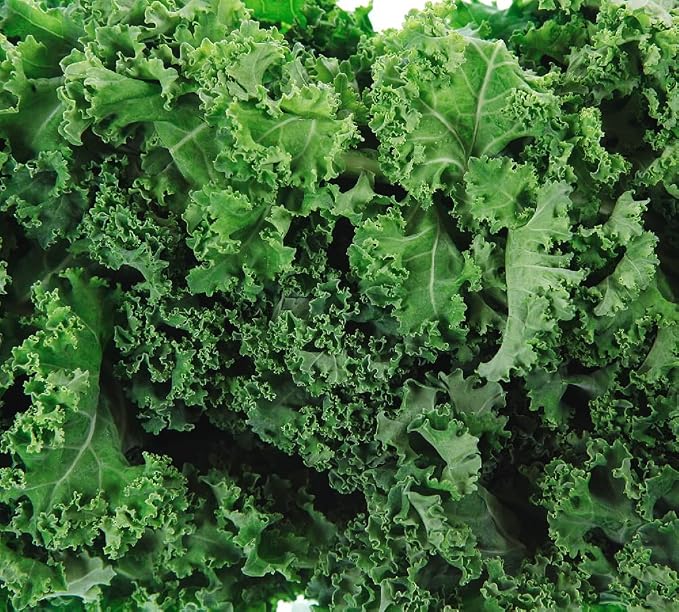 Dwarf Siberian Kale Seeds for Planting â Plant & Grow Heirloom Non-GMO Dwarf Siberian Kale in Home Outdoor Vegetable Garden, Brassica Napus â 5 Packets