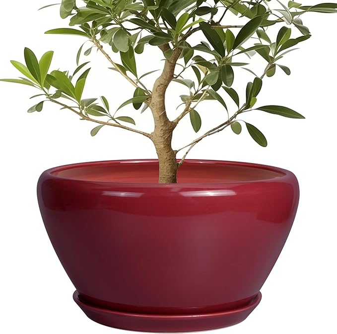 Ceramic Planter - Indoor Plant Pot with Drainage Hole and Saucer 13 Inch Large Pots for Plants Round Modern Outdoor Flower Pot Mid-Century Patio Room Decor Red