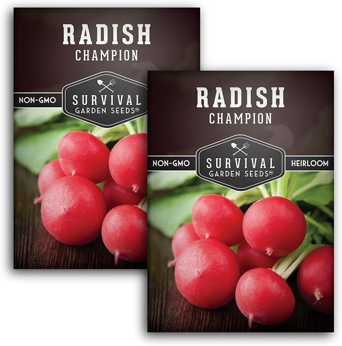 Champion Radish Seeds for Planting â Fast Growing Heirloom for Spring & Fall Gardens â Large Round Red Radishes, White Flesh â Heat & Cool Weather Hardy â Survival Garden Seeds (2 Packs)