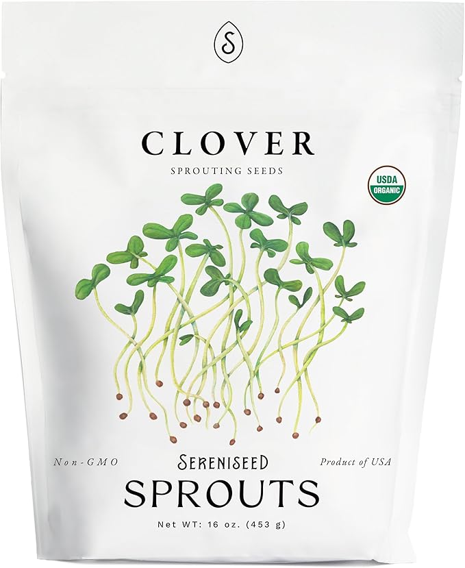 Organic Clover Sprout Seeds (16 oz) â Non-GMO, Heirloom Seeds for Sprouting and Microgreens