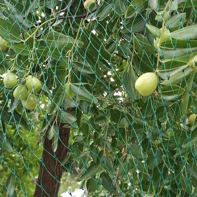 Bird Netting for Garden 6.5X50 FT, 1/4 Inch Mesh, Protect Blueberry, Strawberry, Tomatos, Vegetables. Fruit Tree Netting for Cicadas Against Deers, Squirrels, Bunnies, and Small Critters.