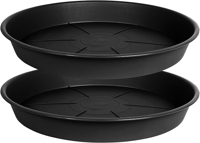 2 Pack of Plant Saucer 8 inch, Black Plastic Flower Plant Pot Saucer, Heavy Duty Plant Drip Trays Saucers for Indoor, Plant Water Tray for Planters