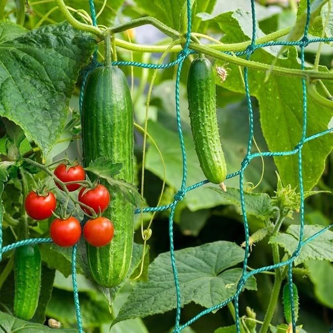 Trellis Netting, Heavy-Duty Garden Grow Netting for Climbing Plants, Outdoor Indoor Net for Cucumber, Tomatoes, Beans, Clematis, Fruits & Vegetables, Climbing Vining Plants (16.4' x 6.6'Ft)