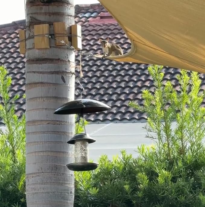 13" Bird Feeder Rain Guard, Hummingbird Feeder's Shade Dome Cover, Hanging Baffle for Bird Feeders Pole,Smart Birds Feeder Umbrella (Black), 3 Pack