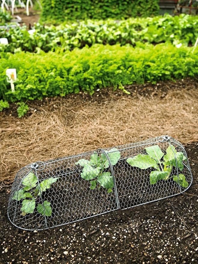 Gardenerâs Supply Company Chicken Wire Cloche Garden Row Plant Protector | Sturdy Metal Protection for Seedlings and Crops from Wild Animals & Pets | 2 Section Set