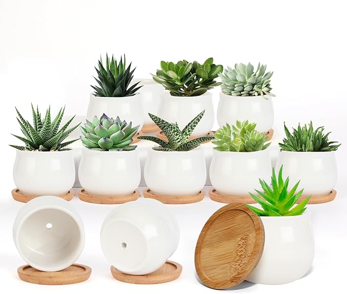 SHECIPIN Succulent Pots, White Mini 2.5 inch Ceramic Flower Planter Pot with Bamboo Tray, Pack of 12 - Plants Not Included