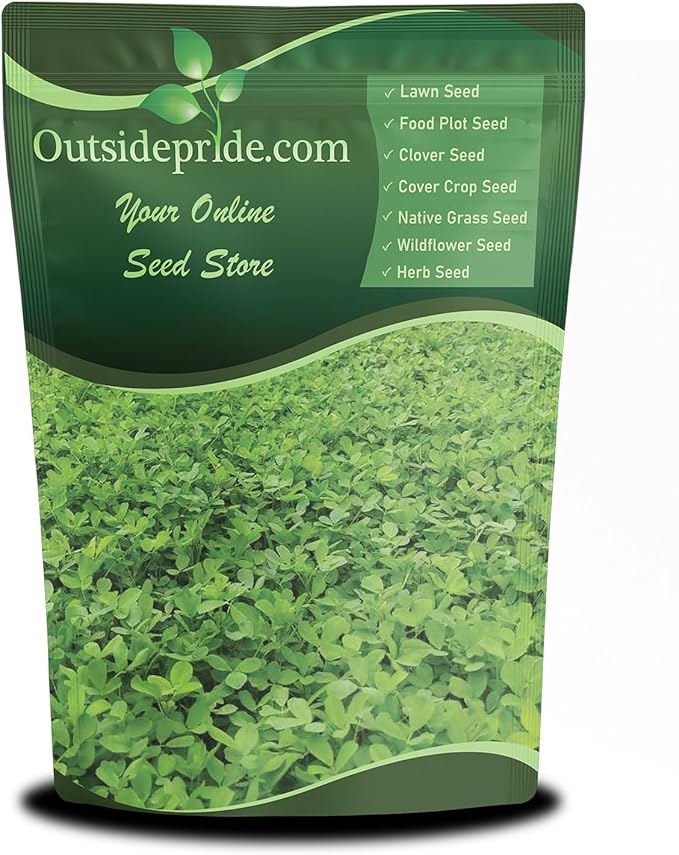 Outsidepride Annual Berseem Clover Seeds for Lawn - 50 lbs. High-Yield, Fast-Growing Clover Cover Crop Seeds for Food Plots, Cattle Forage & Nitrogen-Rich â Ideal for Pastures & Soil Improvement