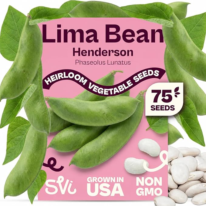 SVI 75 Henderson Lima Bean Seeds (Phaseolus lunatus) â Bush Baby Lima Beans Seed Packets, Green Beans â Heirloom Vegetable Seeds for Outdoor Home Garden, Containers