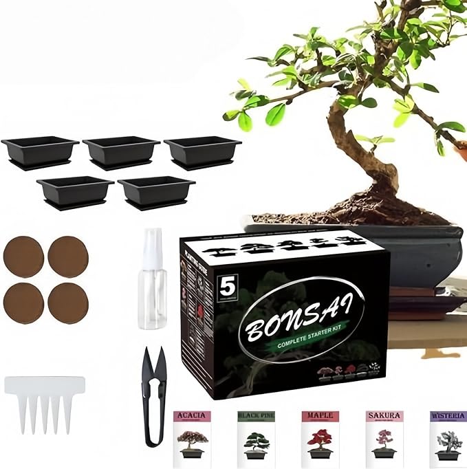 Bonsai Tree Starter Kit - Grow 5 Unique Indoor Japanese Bonsai Seeds, Complete Gardening DIY Set with Pots, Soil, Shears, Unique Gardening Gifts for Men Women