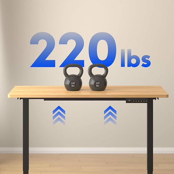 FLEXISPOT E3 Dual Motor Electric Standing Desk 48 x 24 Sit Stand Up Desk, Holds 220 lbs, Adjustable Height w/ Memory Presets, One-Piece Maple Desktop & Black Frame, Ships in 2 Boxes