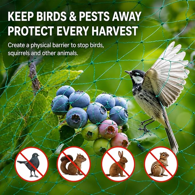 Garden Netting, 13 x 65 FT Bird Netting for Garden Plant Protection, Reusable Fine Mesh for Fruit Trees, Vegetable Plants, Blueberry Bushes, Raised Beds, Chicken Coop (13x65ft)