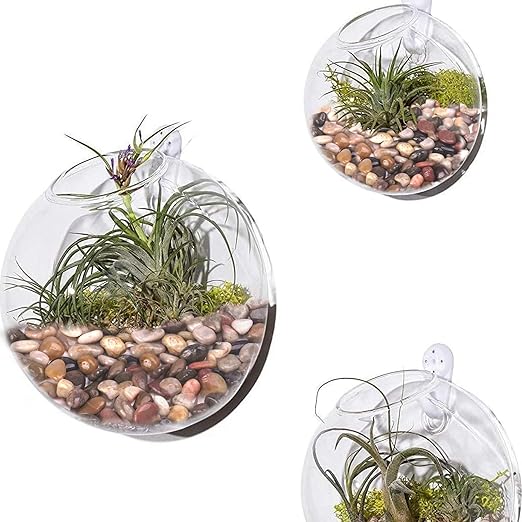Pulovin 10 lbs Decorative Rocks for Planters and Outdoor Landscaping, 1"- 1 1/2", Pebbles for Indoor Plants, Vases, Terrarium, Polished Stones for Garden Decor