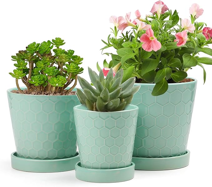 EFISPSS Ceramic Plant Pots â4â+5â+6â inch Set of 3, Planters with with Drainage Holes and Ceramic Tray, Indoor Flower Pot Gardening Home Desktop Office Windowsill Decoration Gift(Mint Green)