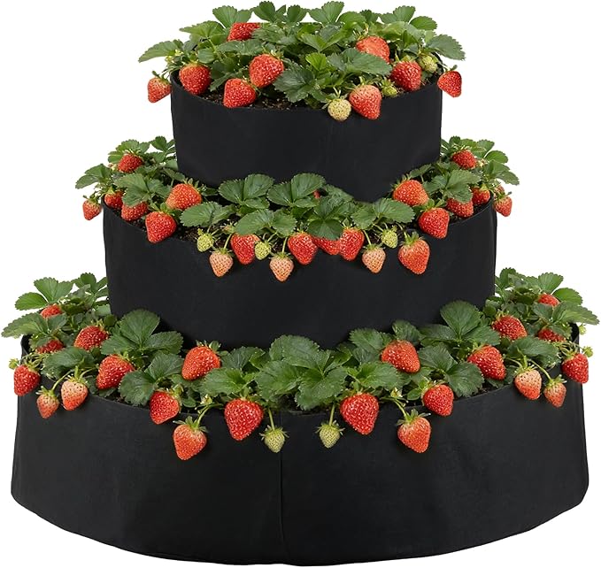 3 Tiered Fabric Strawberry Planter 48 36 24 inch Strawberry Tower Planter Stackable Planters Strawberry Grow Kit