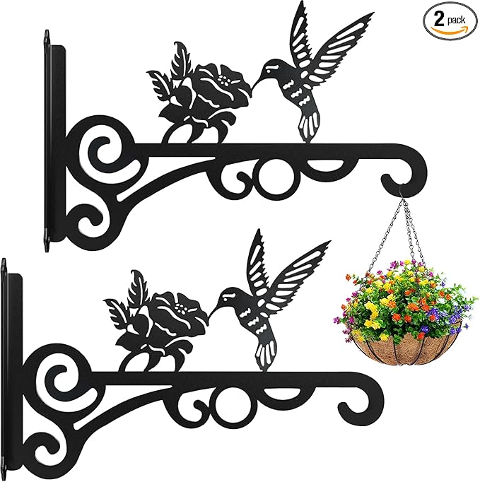 2-Pack 10 Inch Aesthetic Plant Hangers Outdoor â Metal Hanging Plant Bracket with Beautiful Hummingbird Pattern â Heavy Duty Plant Hooks for Hanging Plants, Bird Feeder, Wind Chime, Lantern