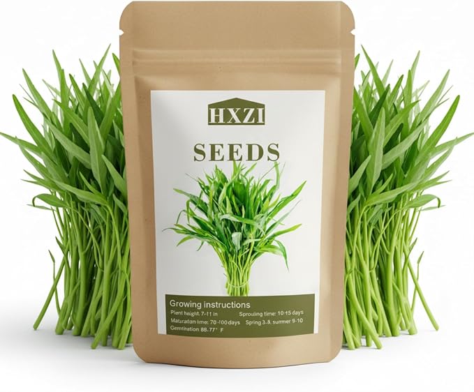 1000 Kangkong Seeds for Planting â Rau Muong Seeds Vietnam Variety â Kong Xin CAI Ong Choy Asian Vegetable for Filipino & Vietnamese Garden Growing