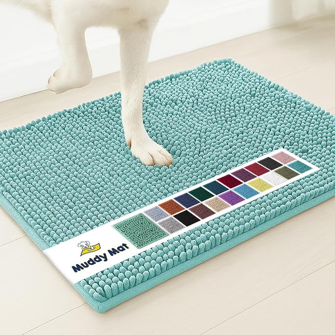 Muddy Mat® | Super Water Absorbent Door Mat Indoor, Microfiber Quick Dry Chenille Entryway Rug,Slip Resistant Front Door Mat,Indoor Mats for Entryway,Machine Washable Pet Rug, Seafoam Green 28"x18"