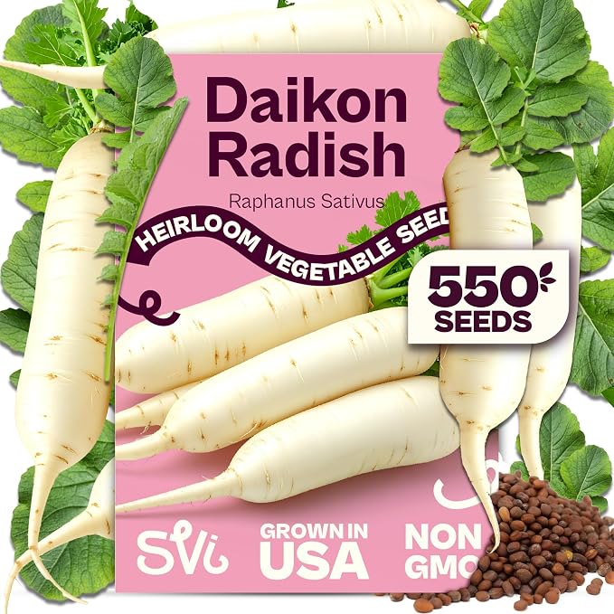 SVI 550 Daikon Radish Seeds (Raphanus sativus) â White Radish Seed Packets, 45-Day Radishes Harvest, Raddish Seed Pack â Heirloom Vegetable Seeds for Vegetable Garden Outdoors, Bed Japanese Garden