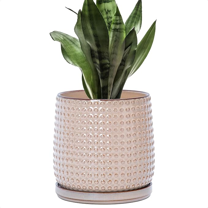 D'vine Dev 6 Inch Ceramic Beaded Stoneware Planter Pot - Flower Pot with Drainage Holes and Saucers for Indoor Succulent Plants or Flowers, Light Brown, 27-C-X-4