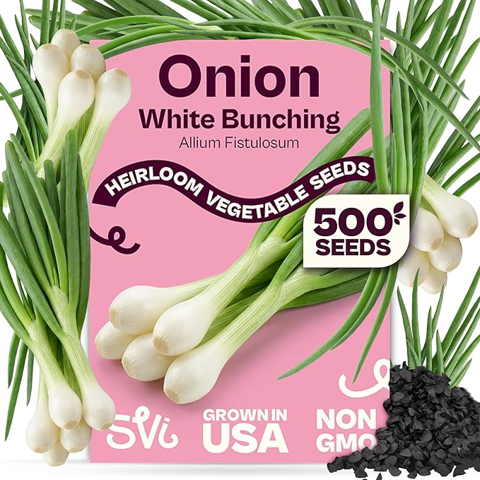 SVI 500 Bunching White Onion Seeds For Planting (Allium fistulosum) â Green Onion Seed Packets, Bunching Scallions Seed, Cebolla â Heirloom Vegetable Seeds for Planting Outdoors Home garden Containers