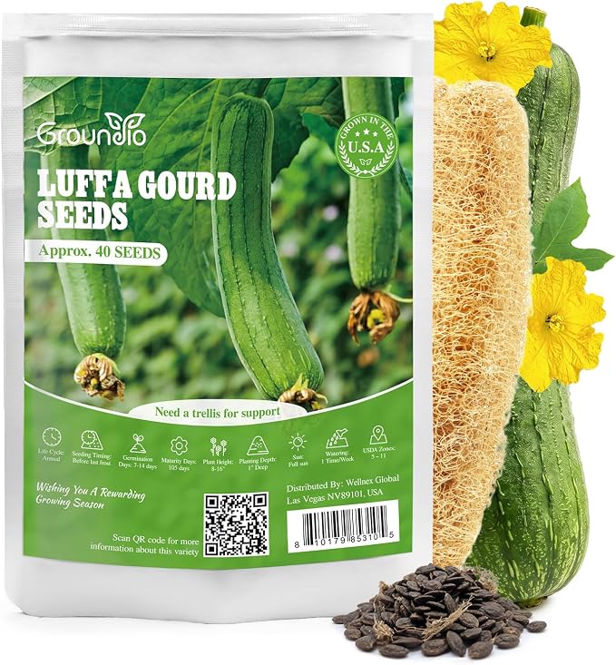 Groundio 40+ Luffa Seeds â Non-GMO Heirloom Loofah Sponge Gourd Seed, Edible & Natural Sponge, Home Garden Outdoor Planting (Luffa aegyptiaca)