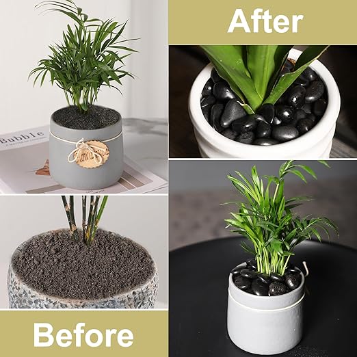 20LB Black River Rocks for Vases 3/4-1 5/8Inch River Stones Decorative Rocks for Plants Indoor Pebbles for Crafts Decorative Stones Gravels Rocks for Plants Outdoor