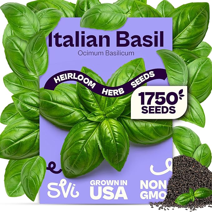 SVI 1750 Italian Basil Seeds (Ocimum basilicum) â Large Leaf Sweet Genovese Basil Seed Packets âNon GMO Italian Herbs, Heirloom Herb Seeds for Outdoor & Indoor Herb Garden, Containers