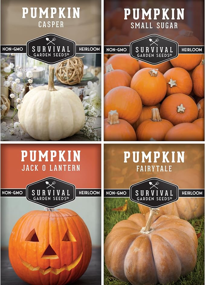 Pumpkin Seeds 4 Variety Pack for Planting â Small Sugar, Jack Oâ Lantern, Fairytale & Casper Heirloom Non-GMO Pumpkin Seed Collection | Survival Garden Seeds