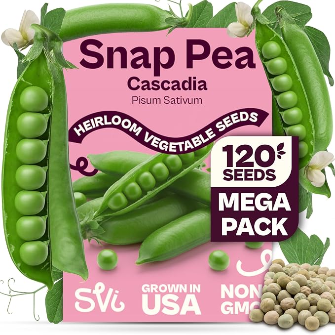 SVI 120 Cascadia Snap Pea Seeds (Pisum sativum) â Sugar Snap Peas, Sweet Peas Seed Packets, Pea Snaps Garden Seed Pack â Heirloom Vegetable Seeds Vegetable Garden, Raised Beds, Containers