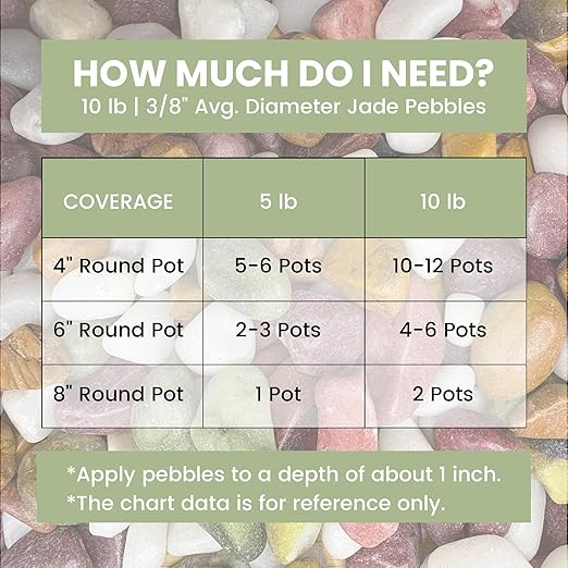 SIDONG 10 LB Natural Gravel Pebbles, 2/5 Inch Small Pea Gravel Stones, Decorative River Rocks for Succulents, Aquariums, Vases, Indoor Plants, Garden Landscaping, DIY