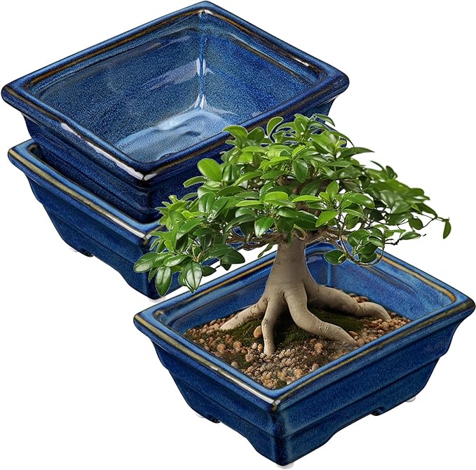 Bonsai Pots Shallow Succulent Planters for Live Bonsai Trees Set of 2, 6.3" Ceramic Pot for Succulents Indoor with Drainage Hole, Outdoor Cactus Plant Bonsai Potï¼Ceramic Flower Pot