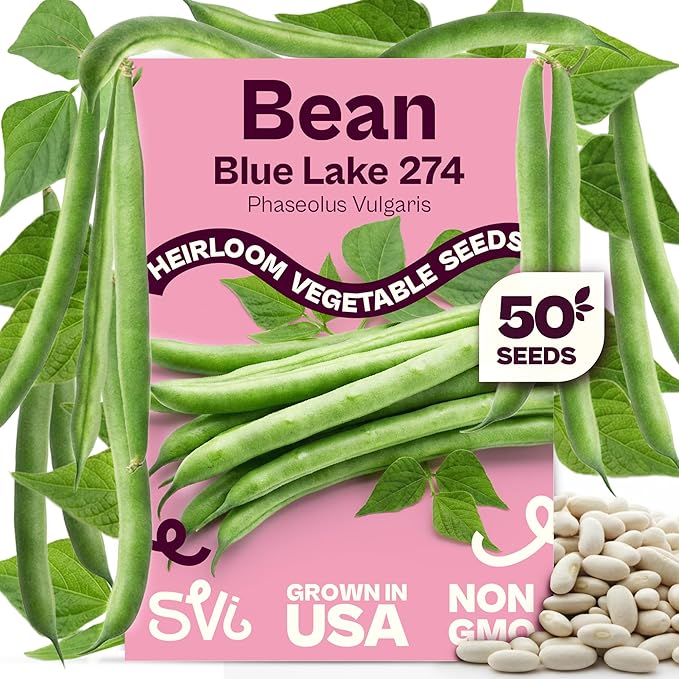 SVI 50 Blue Lake 274 Bush Green Bean Seeds (Phaseolus vulgaris) â Bush Beans Seed Packets, String Beans â Heirloom Vegetable Seeds for Outdoors, Home Garden & Containers
