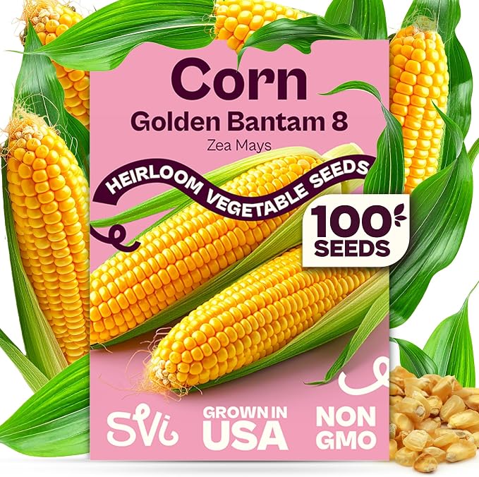 SVI 100 Golden 8 Bantam Corn Seeds (Zea mays) â Yellow Sweet Corn Seed Packets, Early Maturing Maiz â Non GMO Heirloom Vegetable Seeds for Outdoors, Vegetable Garden Rows