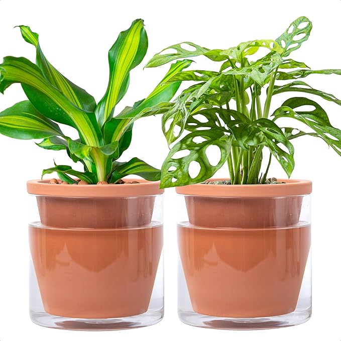D'vine Dev 6 Inch Design Self Watering Pot for Indoor Plants, Terracotta Planter with Cylinder Glass Cup, Set of 2, 37-Y-B-1