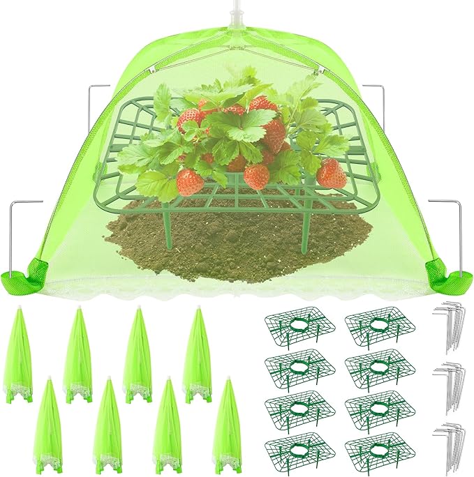8 Sets Strawberry Plant Support with Mesh Plant Cover,Strawberry Growing Racks Sets with Iron Plant Nails for Garden Strawberry Vegetables