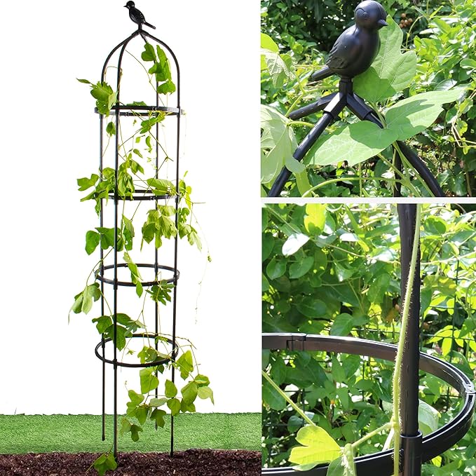 Garden Trellis for Climbing Plants, Rustproof Metal Pipe with Heavy Duty 6ft, Garden Outdoor Indoor Potted Plant Supportï¼Blackï¼