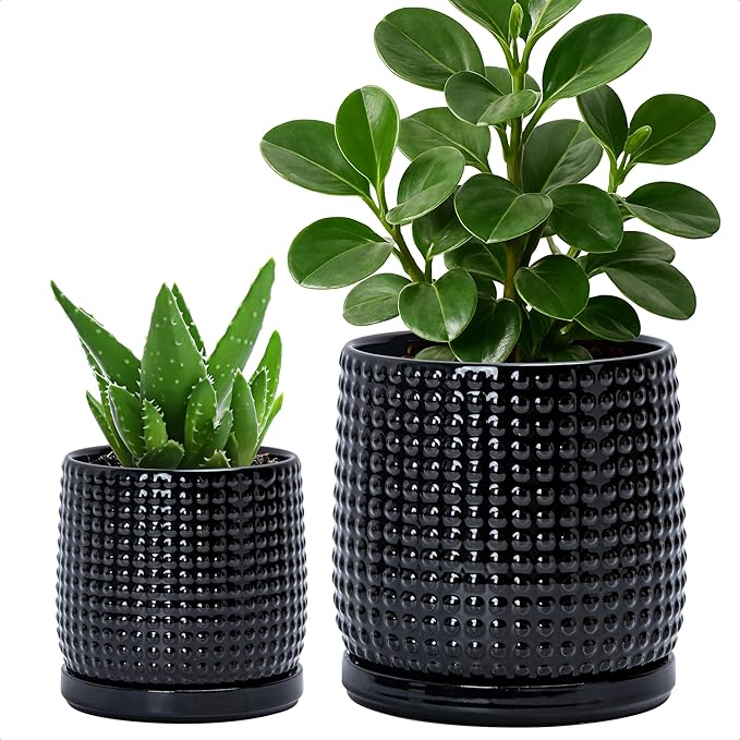 D'vine Dev 6 Inch 4 Inch Ceramic Indoor Planter Pots with Drainage Hole and Saucer, Beaded Design Flower Pots, Set of 2, Gloss Black, 27-D-U-2