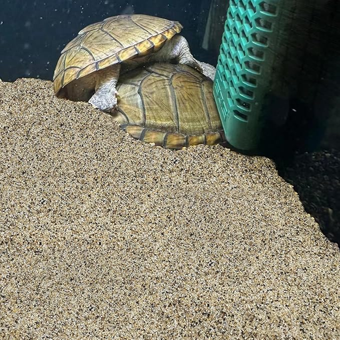 FANTIAN 40 lbs Aquarium Sand. 1/16 Inch Fish Tank Coarse Sand Pea Gravel for Aquarium, Terrariums, Vase Filler, Plant, Soil Drainage and Outdoor Gardens, Landscaping