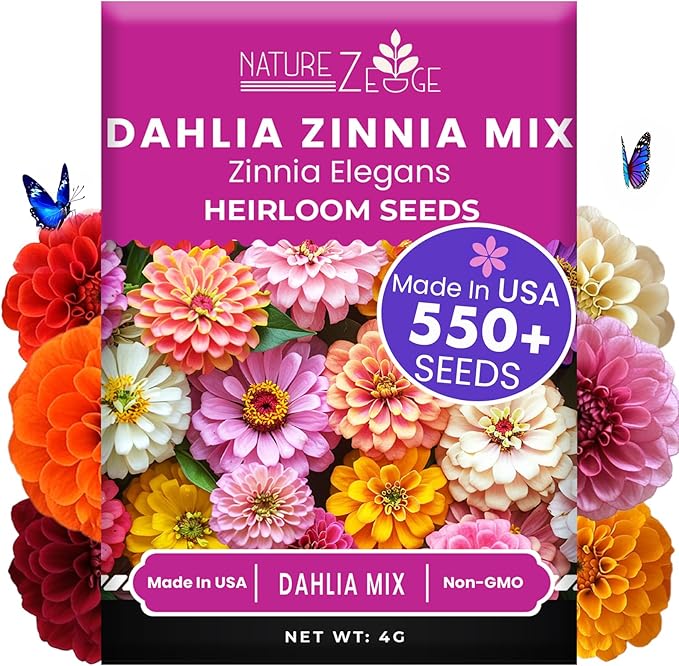 NatureZ Edge Zinnia Seeds for 2025 Planting Outdoors, Over 550 Flower Seeds, 4g, Non GMO Made in USA, Bulk Semillas De Flores para Sembrar, Dahlia Mix, Easy to Grow Zinnia Seed Mix