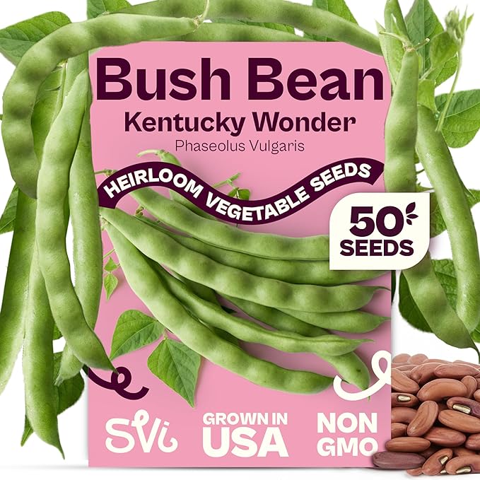 SVI 50 Kentucky Wonder Bush Bean Seeds (Phaseolus vulgaris) â Green Beans Seed Packets, Pole Beans â Heirloom Vegetable Seeds for Outdoor, Vegetable Garden, Containers