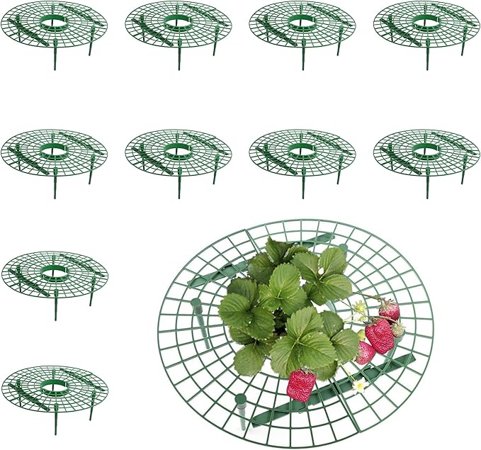 SooGree 10 Pack Strawberry Supports, Garden Fruit Plant Cage Strawberry Holder Cradles Plastic Tray Keep Strawberries Off Rot and Dirt